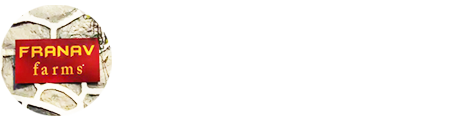 Adventure Learning